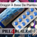 Dragon À Base De Plantes 40